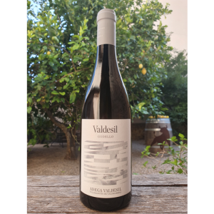 Valdesil Godello (sobre lías) 2024