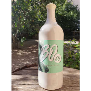 Bodega 65 Sauvignon blanc 2023