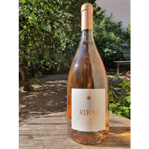 Ribas rosat 2024 Magnum